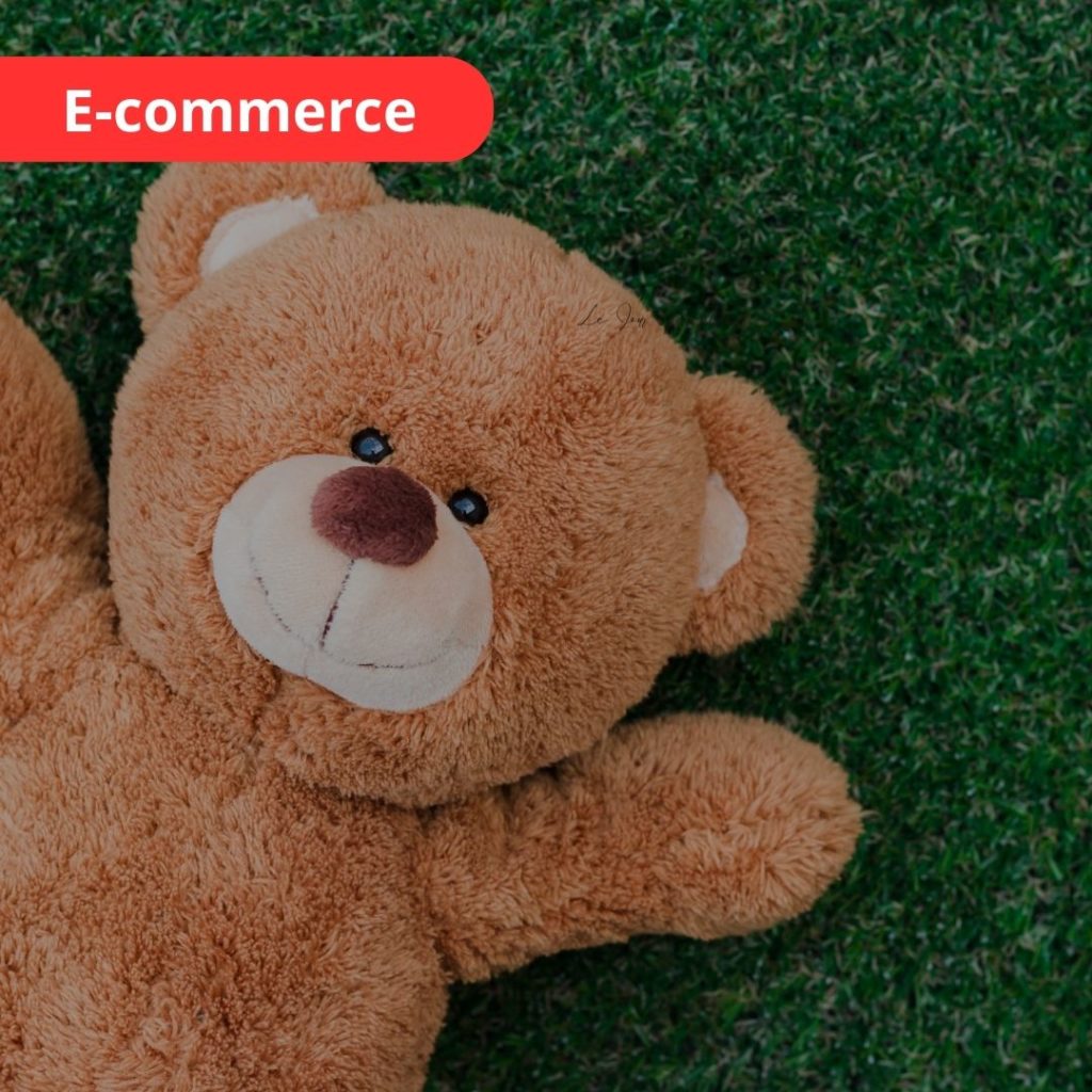 ecommerce teddy